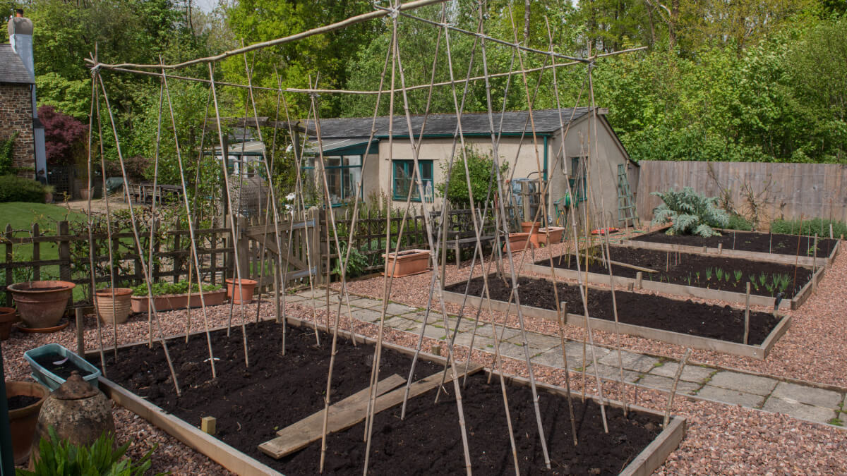 Allotment garden