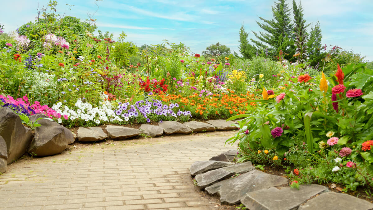 Flowery Garden