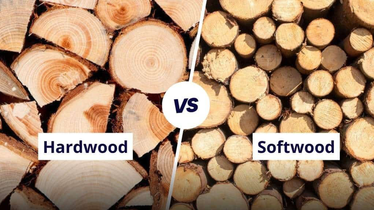 Hardwood and softwood compared next to each other