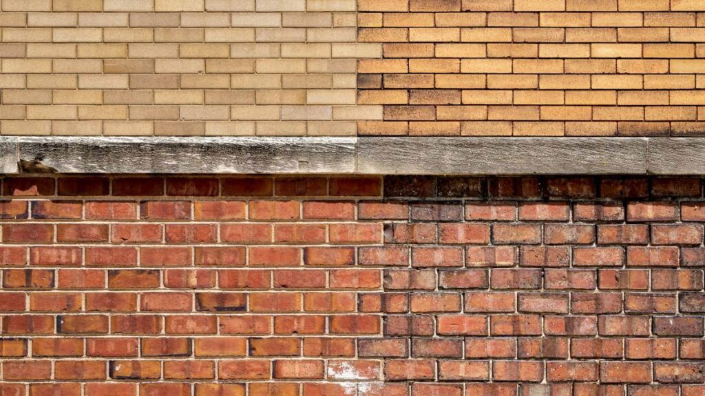 different bricks in a wall